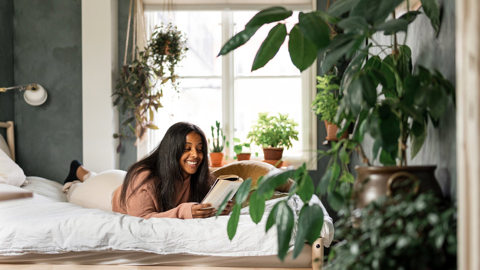 Diese Pflanzen reinigen die Luft im Schlafzimmer Videos from The